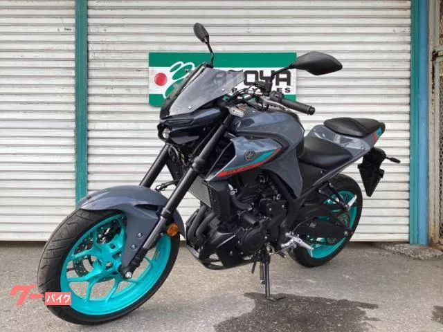 Yamaha MT-25 ETC 2022 — миниатюра 3