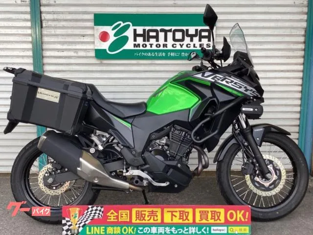 Kawasaki Versys X 250 ETC 2022 — фото 1, купить с доставкой в Москву
