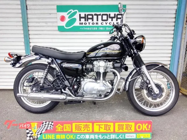 Kawasaki W800 ETC 2025 — фото 1, купить с доставкой в Москву