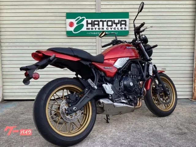 Kawasaki Z650RS 2024 — миниатюра 4
