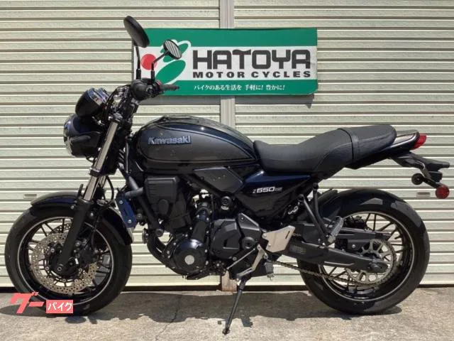 Kawasaki Z650RS 2024 — миниатюра 2
