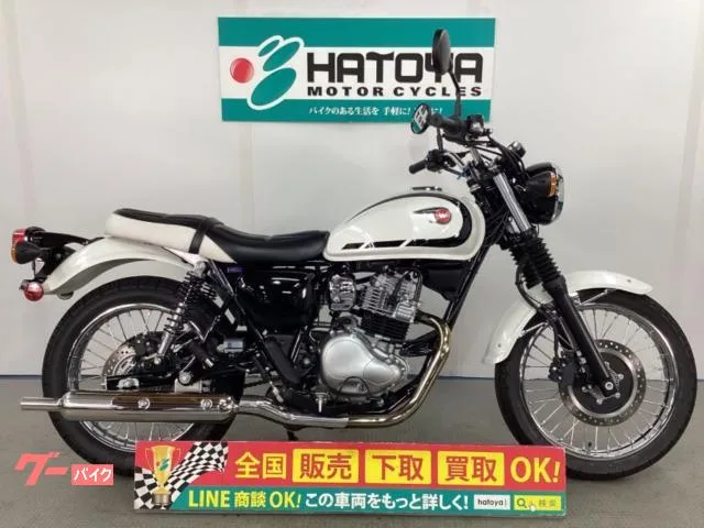 Kawasaki W230 2025 — фото 1, купить с доставкой в Москву