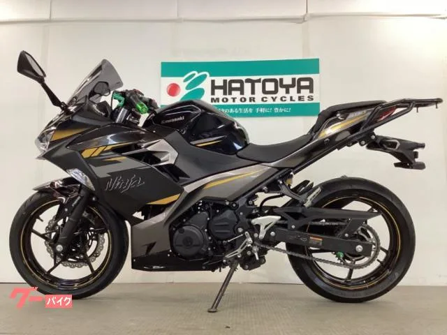Kawasaki Ninja 400 ETC1.5 2022 — миниатюра 2