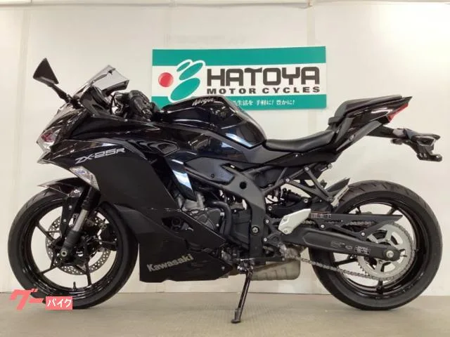 Kawasaki Ninja ZX-25R 2022 — миниатюра 2