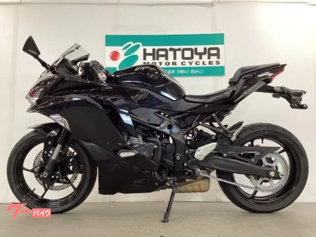 Kawasaki Ninja ZX-25R 2022 — миниатюра 2