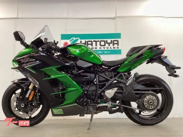 Kawasaki Ninja H2 SX ETC 2022 — миниатюра 2