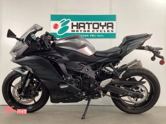 Kawasaki Ninja ZX-4R SE 2025 — миниатюра 2