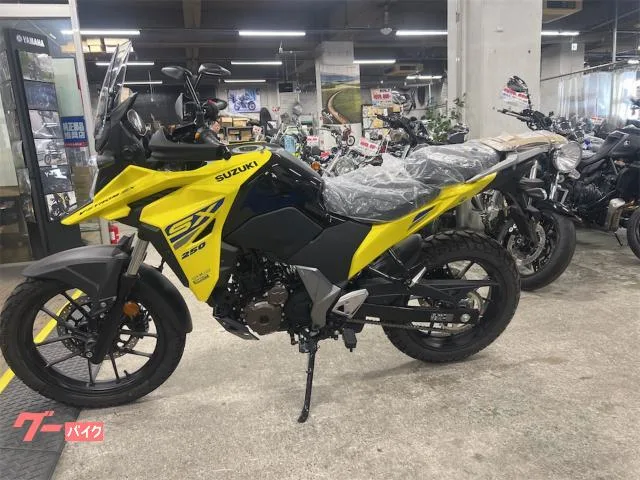 Suzuki V- 250SX ETC 2025 — миниатюра 2