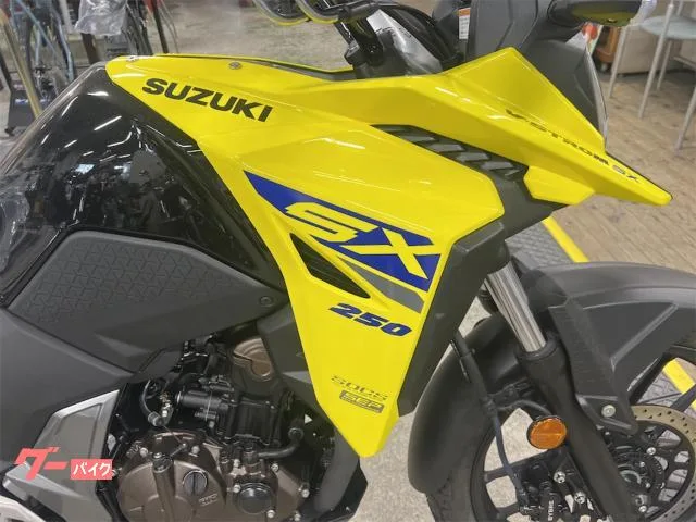 Suzuki V- 250SX ETC 2025 — миниатюра 5