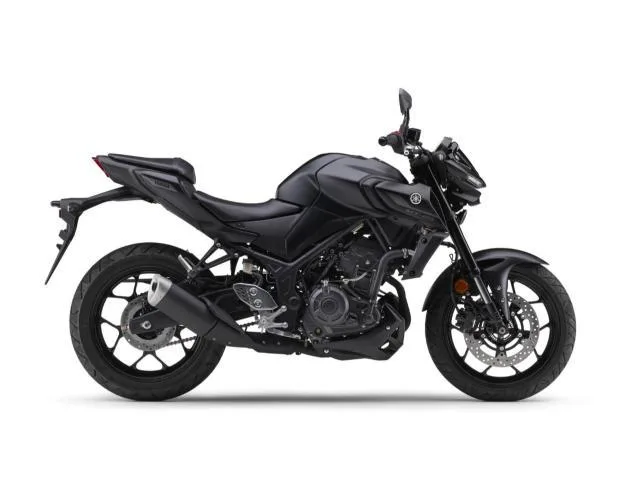 Yamaha MT-25 2025 — миниатюра 3