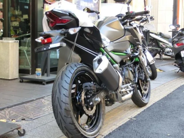 Kawasaki Z250 2024 2024 — миниатюра 3