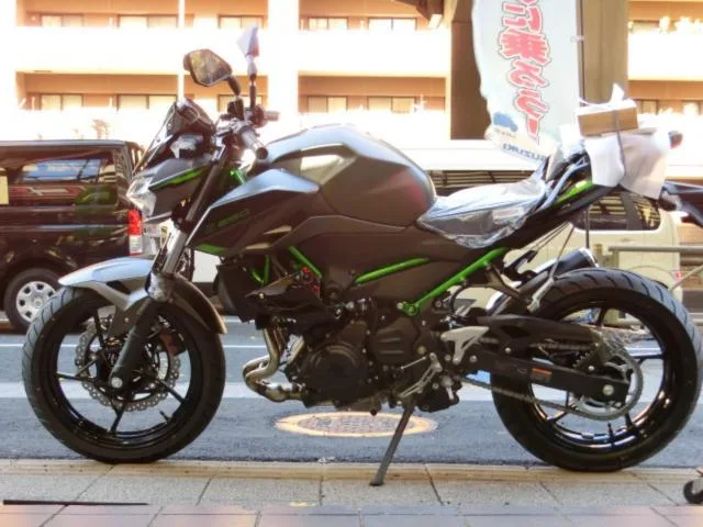 Kawasaki Z250 2024 2024 — миниатюра 4