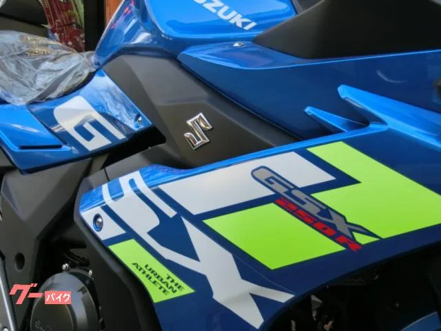 Suzuki GSX250R 2024 2024 — миниатюра 3