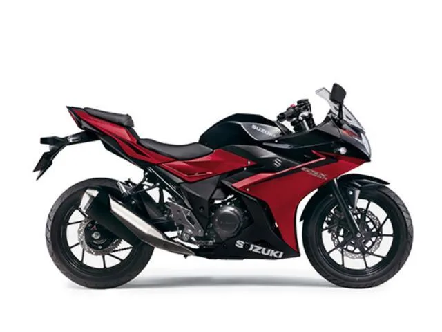 Suzuki GSX250R 2024 2024 — фото 1, купить с доставкой в Москву