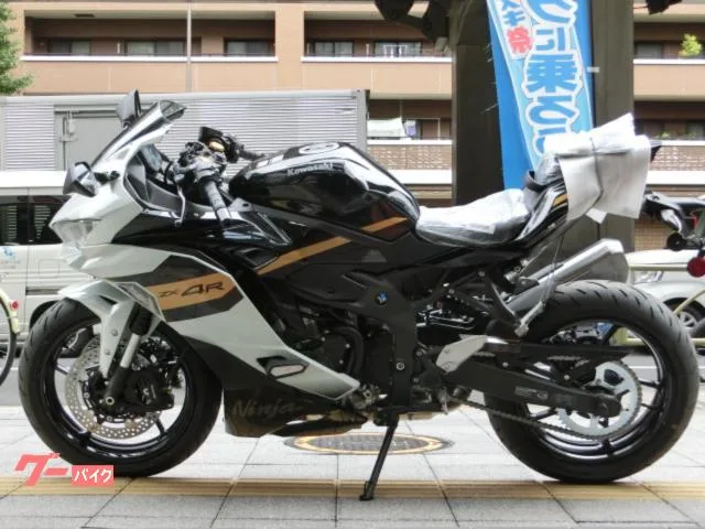 Kawasaki Ninja ZX-4R SE 2026 2026 — миниатюра 3