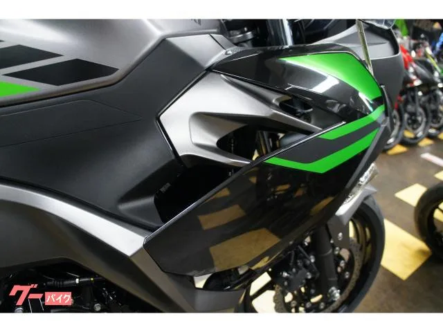 Kawasaki Ninja 400 2026 — миниатюра 5