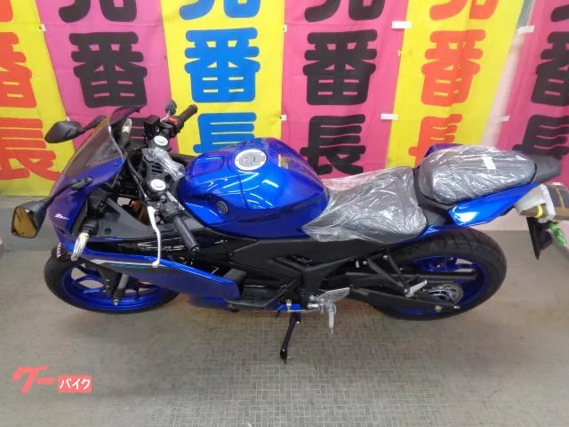 Yamaha YZF-R25 2025 — миниатюра 4
