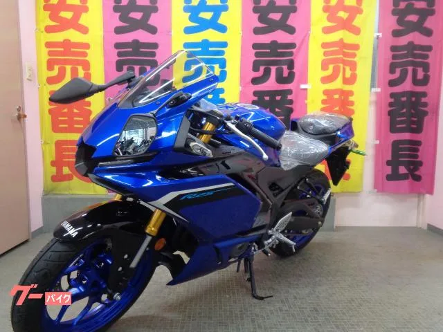 Yamaha YZF-R25 2025 — миниатюра 5