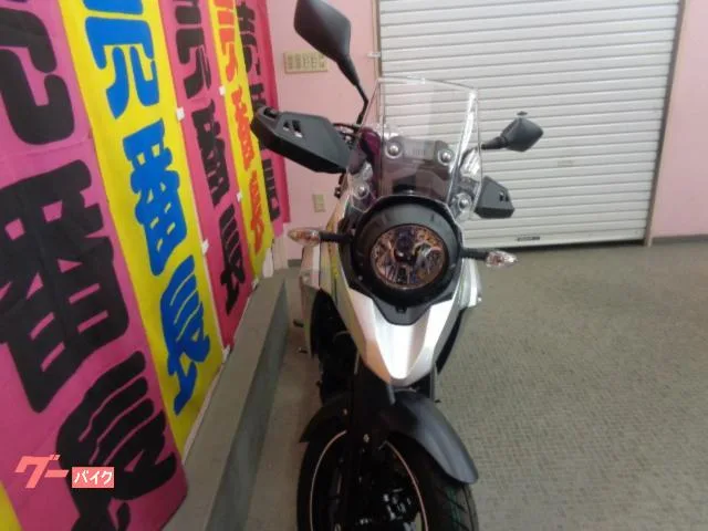 Suzuki V- 250 2024 — миниатюра 4