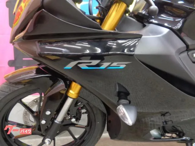 Yamaha YZF-R15 2023 — миниатюра 5