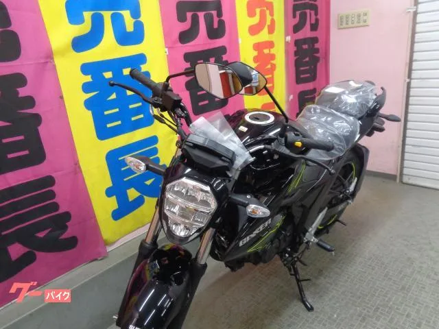 Suzuki GIXXER 150 2025 — миниатюра 2