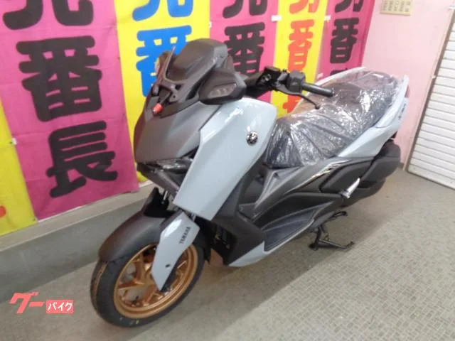 Yamaha X-MAX2502025 2025 — миниатюра 2