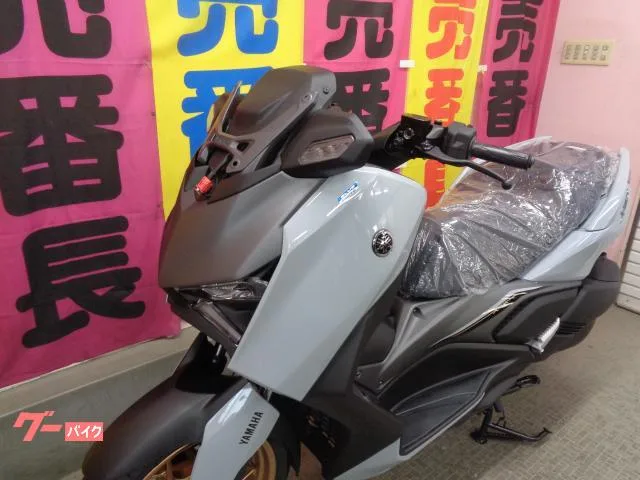 Yamaha X-MAX2502025 2025 — миниатюра 4