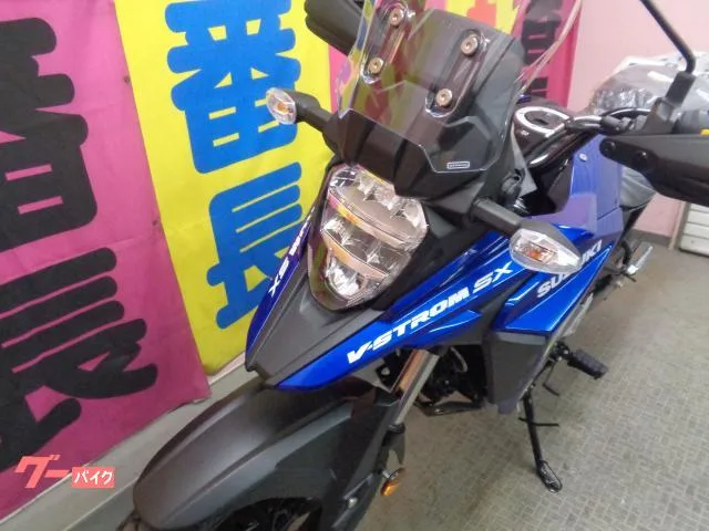Suzuki V- 250SX 2026 — миниатюра 5