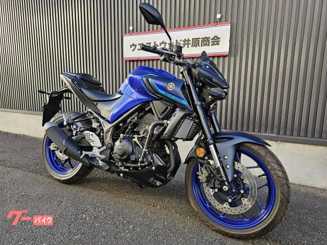 Yamaha MT-25 2022 2022 — миниатюра 2