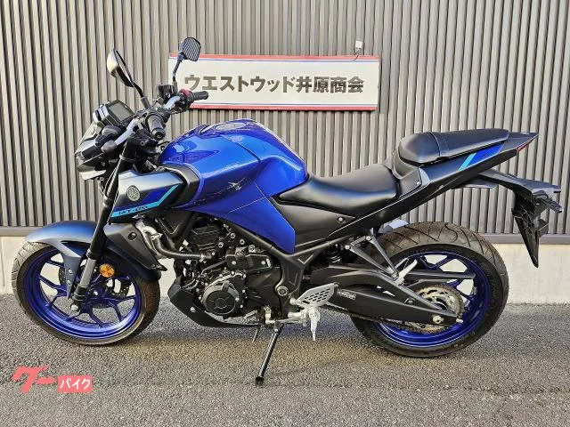 Yamaha MT-25 2022 2022 — миниатюра 4