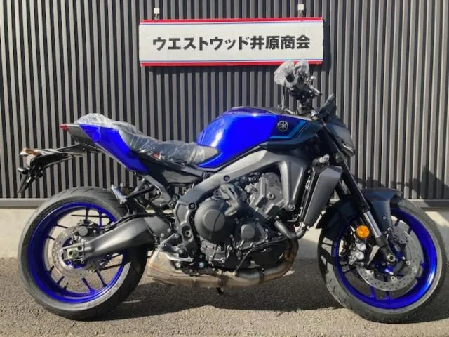 Yamaha MT-09 Y-AMT 2024 2024 — фото 1, купить с доставкой в Москву