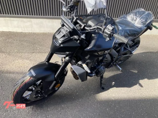 Yamaha MT-09 Y-AMT 2024 2024 — миниатюра 3