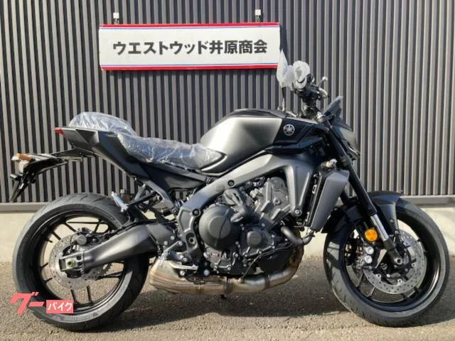 Yamaha MT-09 Y-AMT 2024 2024 — фото 1, купить с доставкой в Москву