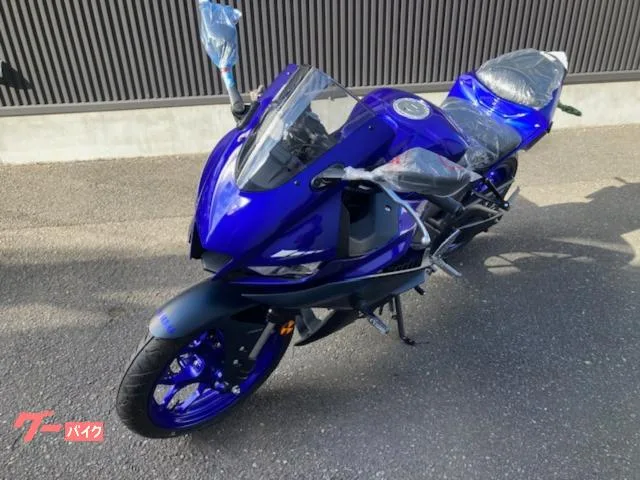 Yamaha YZF-R25 2023 2023 — миниатюра 3