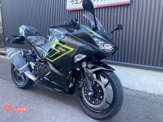Kawasaki Ninja 250 2026 2026 — миниатюра 2