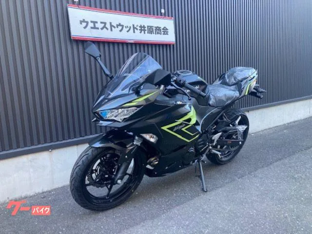 Kawasaki Ninja 250 2026 2026 — миниатюра 3