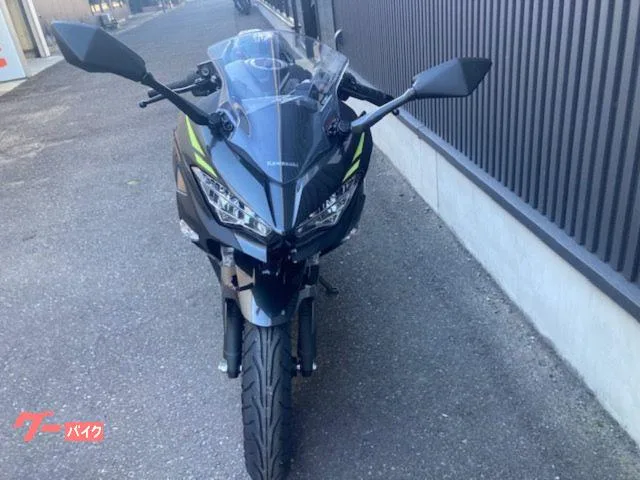 Kawasaki Ninja 250 2026 2026 — миниатюра 4