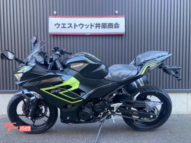 Kawasaki Ninja 250 2026 2026 — миниатюра 5