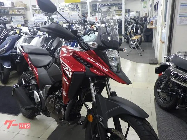 Suzuki V- 250SX 2024 — миниатюра 2