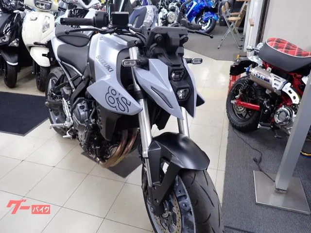 Suzuki GSX-8S 2024 — миниатюра 2