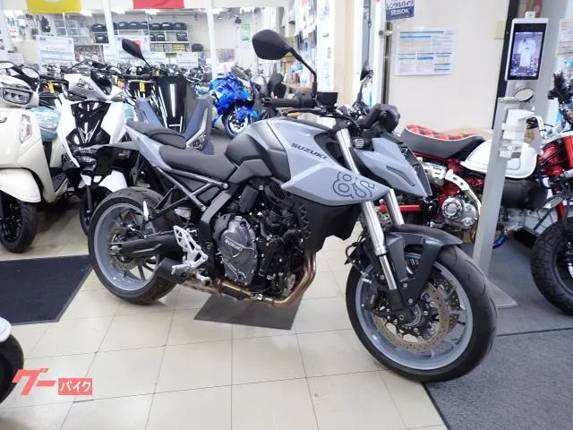 Suzuki GSX-8S 2024 — фото 1, купить с доставкой в Москву
