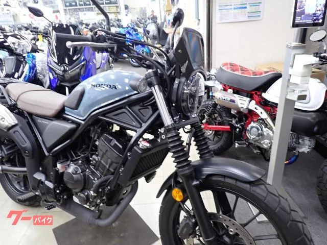 Honda CL250 2023 — миниатюра 2