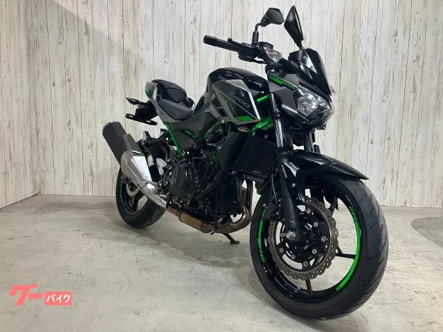 Kawasaki Z400 ETC USB 2025 — миниатюра 2