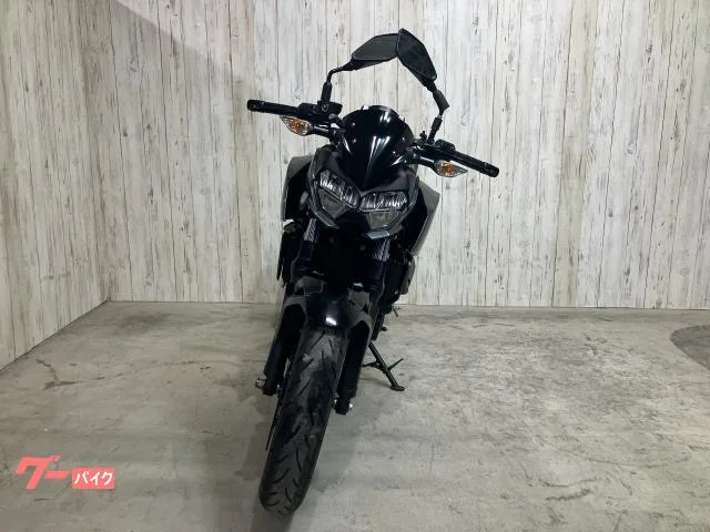 Kawasaki Z400 ETC USB 2025 — миниатюра 4
