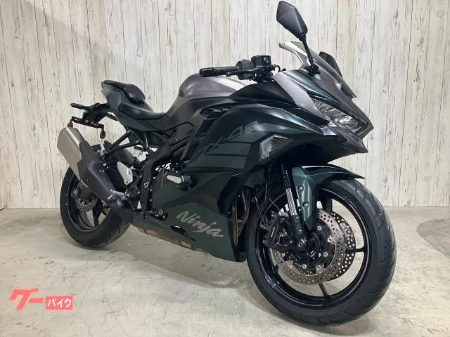 Kawasaki Ninja ZX-4R SE 2025 — миниатюра 2