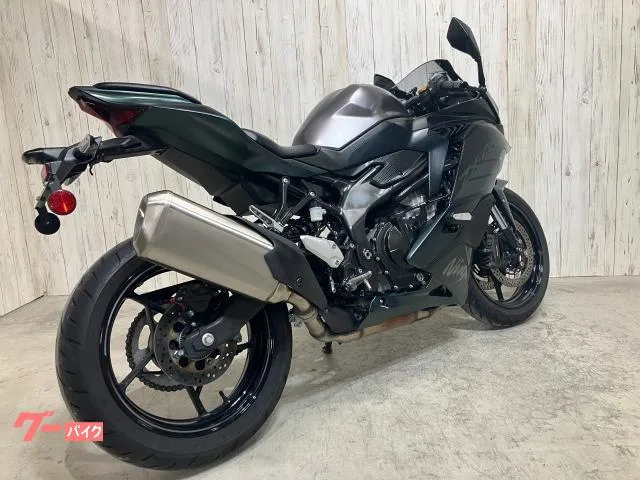 Kawasaki Ninja ZX-4R SE 2025 — миниатюра 3