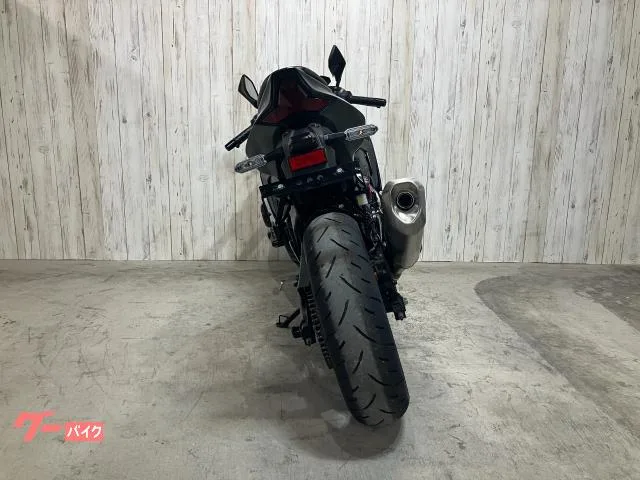 Kawasaki Ninja ZX-4R SE 2025 — миниатюра 5