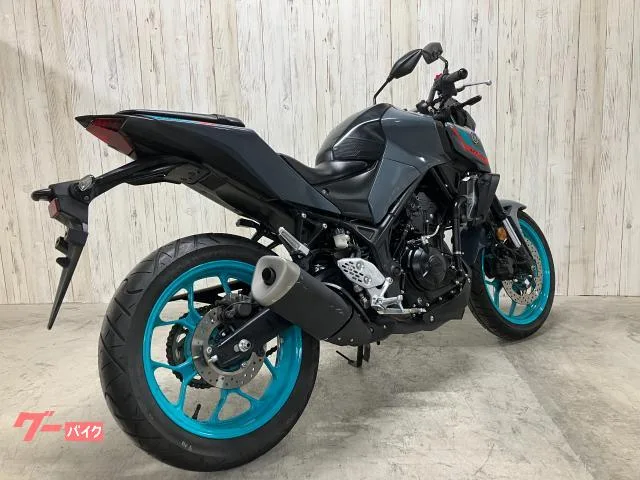 Yamaha MT-25 RG74J 2022 — миниатюра 2