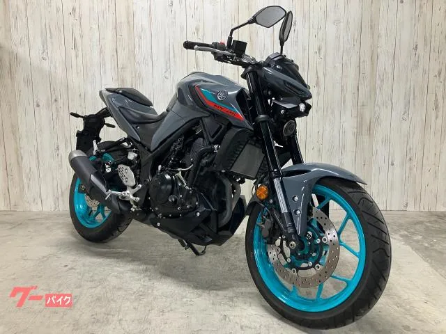 Yamaha MT-25 RG74J 2022 — миниатюра 3