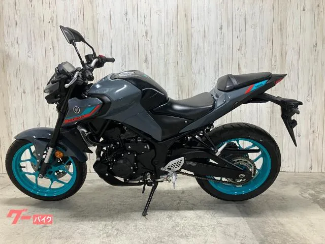 Yamaha MT-25 RG74J 2022 — миниатюра 4
